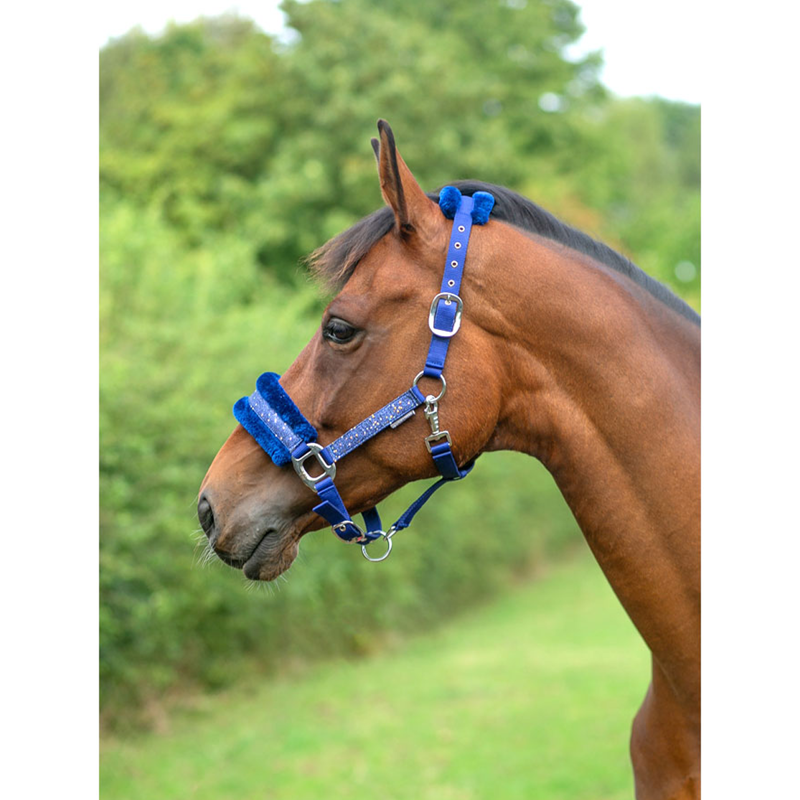 Hy Equestrian Dazzle Headcollar - Twilight Navy-1
